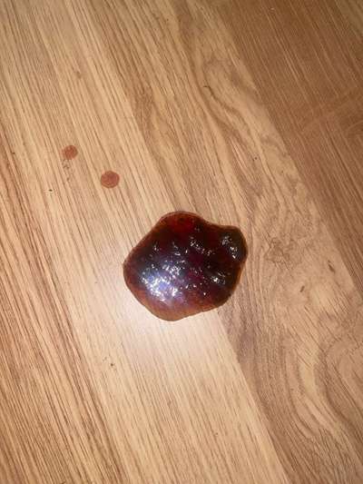 Blutungen..-Beitrag-Bild