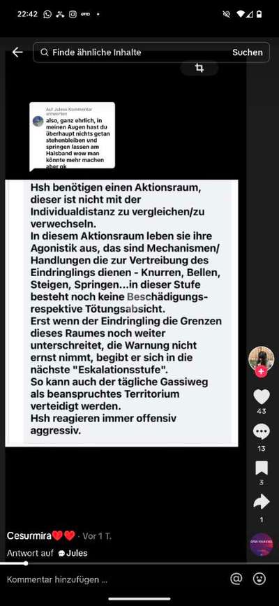 Hündin plötzlich aggressiv !-Beitrag-Bild