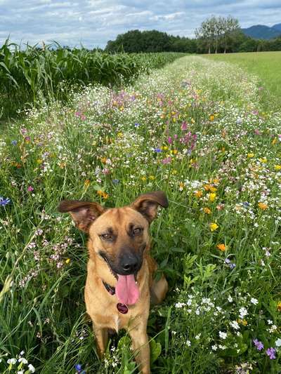 Fotowettbewerb Natur-Beitrag-Bild