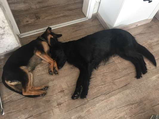 Fotochallenge liebespaare-Beitrag-Bild