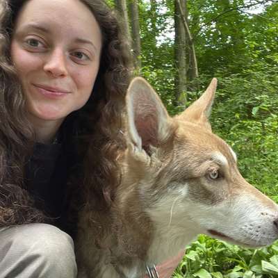 Hundetreffen-Spaziergänge in Linz und Umgebung. Bräuchte einen souveränen Hund und Halter.-Bild