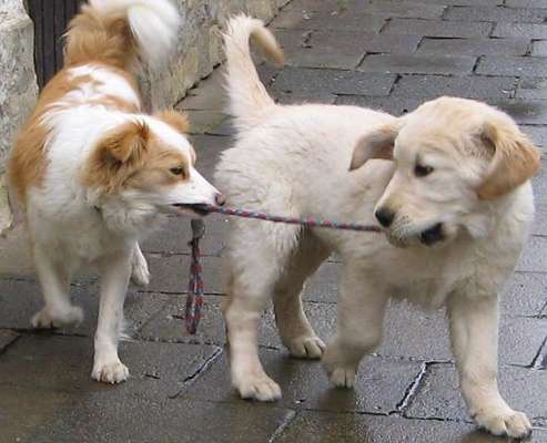 Challenge 30  Freundschaft-Beitrag-Bild