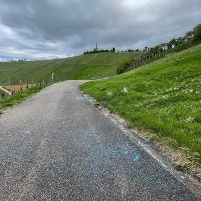 Giftköder-Blaue Kügelchen (Schneckengift?)-Bild