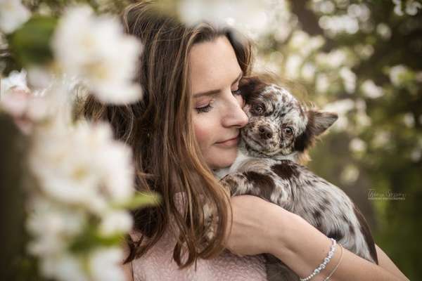 Hundetreffen-Fotoshooting 📷-Bild