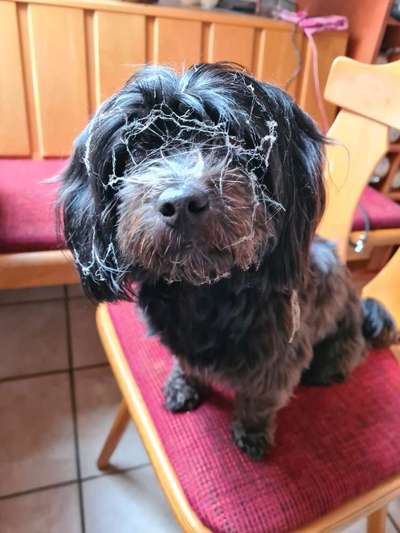 15. Handyfoto Challenge - Indoor Aktivitäten-Beitrag-Bild