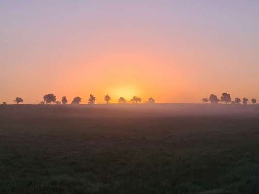 Die wunderschöne Welt mit Hund.-Beitrag-Bild