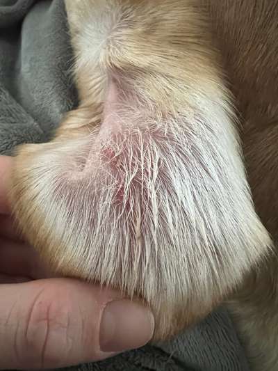 Bläschen in den Ohren-Beitrag-Bild