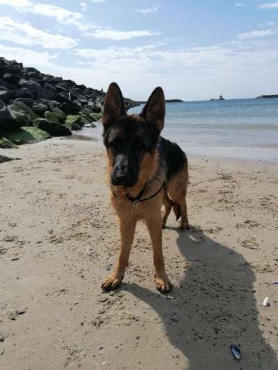 Lieblingsbild-Beitrag-Bild