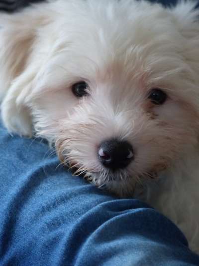 Erstes Bild-Beitrag-Bild