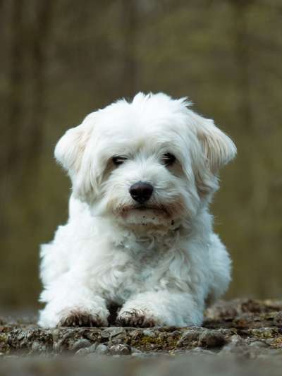 Fotowettbewerb Natur-Beitrag-Bild