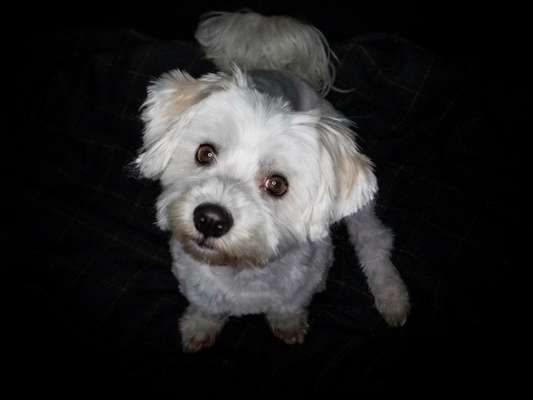 Von oben-Beitrag-Bild