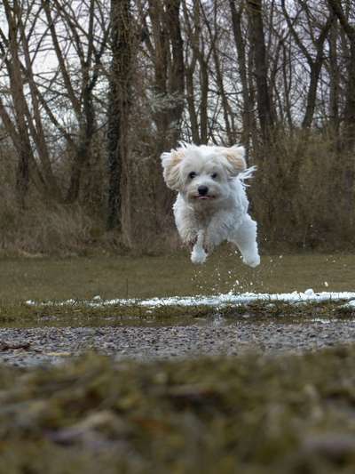 Un...scharf Bilder-Beitrag-Bild