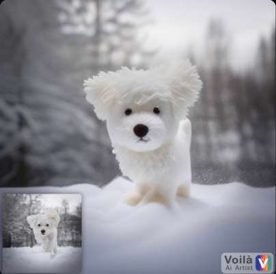 Voila app Bilder-Beitrag-Bild