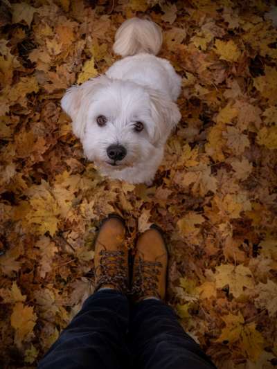 FOTOCHALLENGE 86-Beitrag-Bild