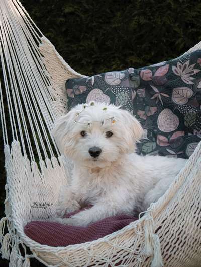 Lieblingsbild-Beitrag-Bild