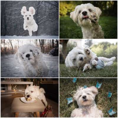 22. Collagen Challenge- Lebensfreude-Beitrag-Bild