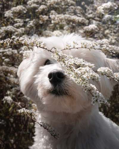 Fotochallenge 78

Es grünt und blüht-Beitrag-Bild