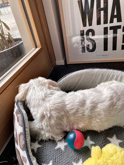 120. Fotochallenge-Beitrag-Bild