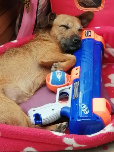 CHALLENGE NR. 34 - Liege-/Schlafpositionen-Beitrag-Bild