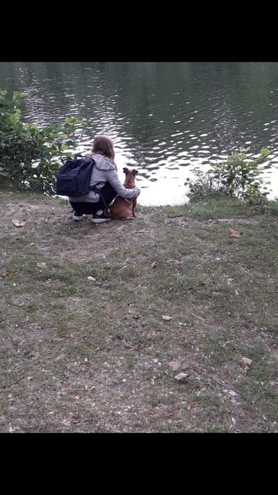 Dogorama-Monats-Challenge-Mai "Wasser"-Beitrag-Bild