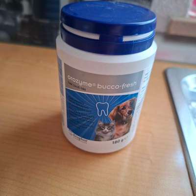 Zahnstein verhindern?-Beitrag-Bild