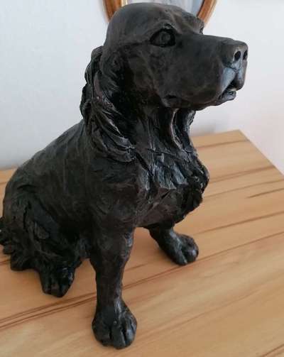 Cocker Spaniel-Beitrag-Bild