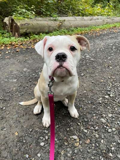 Fotochallange Nr. 57     PORTRÄT.   Beendet!!!!!!!!-Beitrag-Bild