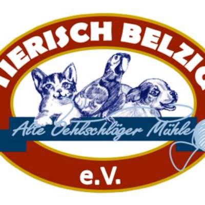 Tierheime-Tierheim Tierisch Belzig-Bild