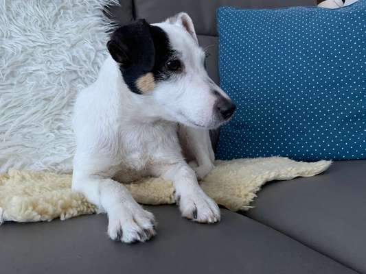 Immer lächeln !-Beitrag-Bild