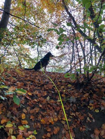 Foto Challenge Nr. 79-Beitrag-Bild