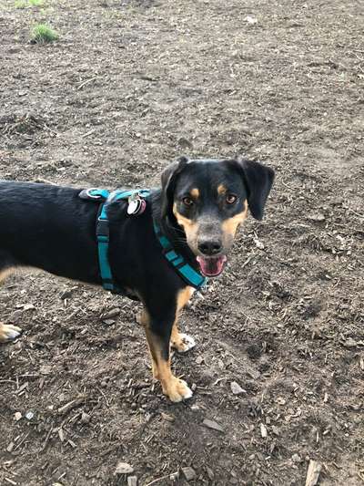 Ist das ein...?-Beitrag-Bild