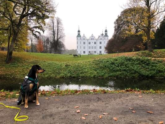 Fotochallenge 87: Im Park-Beitrag-Bild