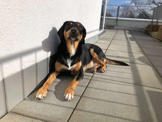 Doppelgänger gesucht !-Beitrag-Bild