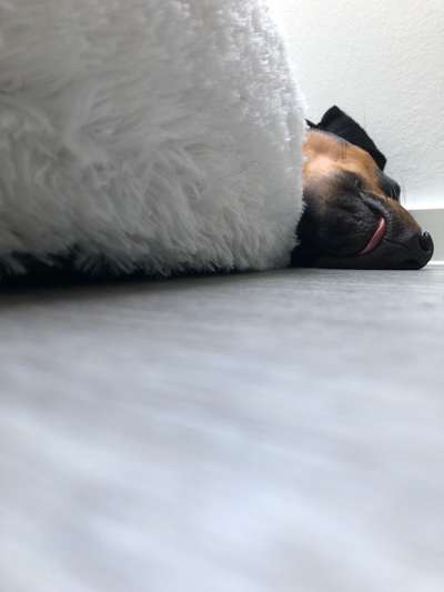 Handyfoto challenge Nr. 13: Waschlappen raus!-Beitrag-Bild