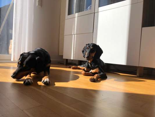 Fotochallenge 88-Beitrag-Bild