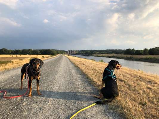 Doppelgänger gesucht !-Beitrag-Bild