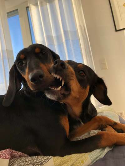 Fotochallenge 88-Beitrag-Bild