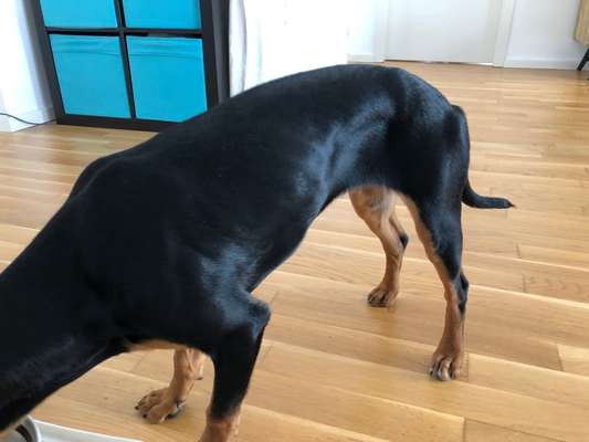 Der Gewichts-Thread-Beitrag-Bild