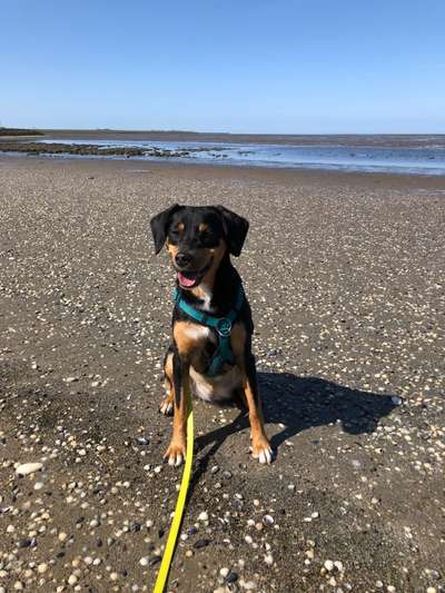 Doppelgänger gesucht !-Beitrag-Bild