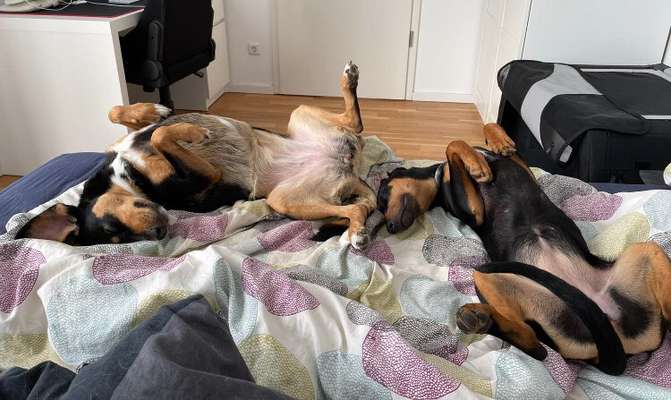 Foto Challange Nr.80-Beitrag-Bild