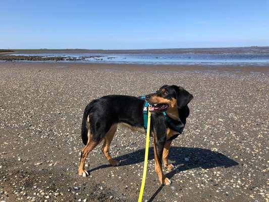 Der Gewichts-Thread-Beitrag-Bild