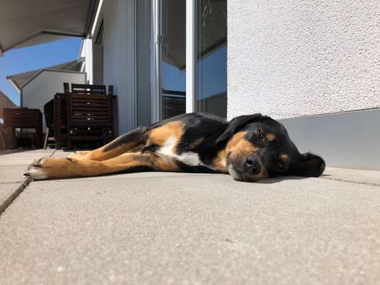 FOTO-Challenge  NR. 91: Die pure Entspannung-Beitrag-Bild