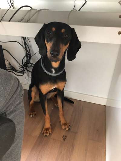 Doppelgänger gesucht !-Beitrag-Bild