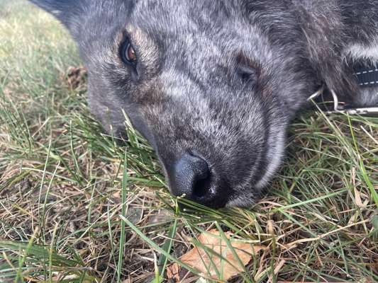 Das beste grinsefoto-Beitrag-Bild