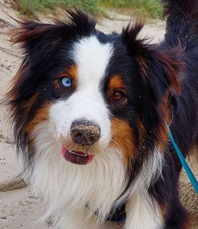 Fotochallange Nr. 57     PORTRÄT.   Beendet!!!!!!!!-Beitrag-Bild