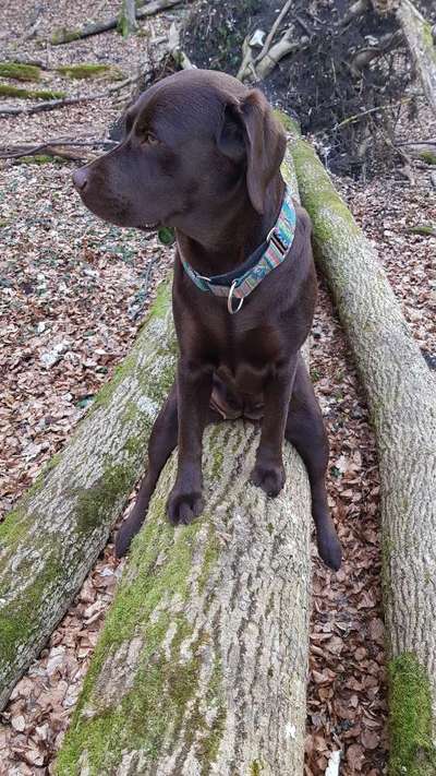 27. Handy Fotochallenge-Beitrag-Bild