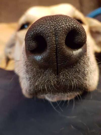 Fotochallange Nr. 57     PORTRÄT.   Beendet!!!!!!!!-Beitrag-Bild