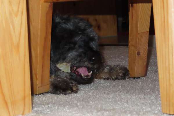 Handy-foto Challange nr. 11-Beitrag-Bild