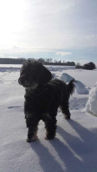 Handy-Foto-Challange Nr.9-Beitrag-Bild