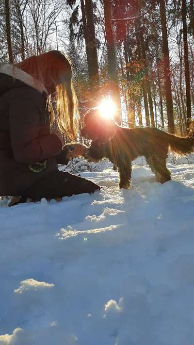 SonnenSTRAHLEN-Beitrag-Bild